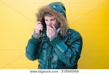 Keep Warm. Winter Stylish Menswear. Man Bearded Hipster Wear Warm Jacket With Fur Yellow Background.