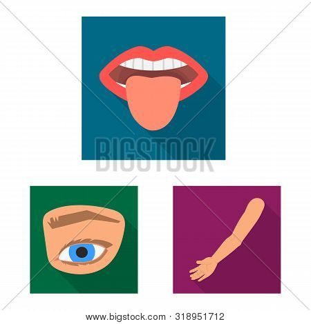 Vector Illustration Of Body And Part Logo. Collection Of Body And Anatomy Stock Symbol For Web.