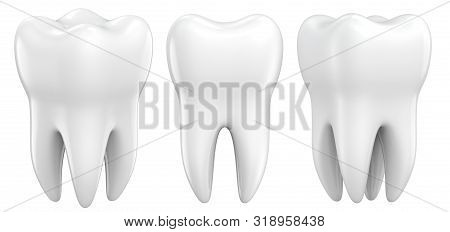 Set Of Dental Premolar Teeth 3d Models As A Concept Of Dental Examination Teeth, Dental Health And H