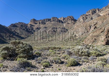 Mountains And Shrubs Near The Volcano Teide, Partially Covered With Clouds. Bright Blue Sky. Teide N
