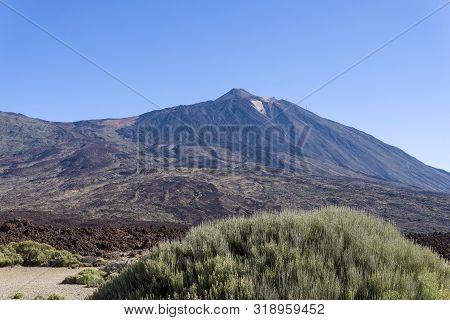 Teide National Park, Tenerife, Canary Islands, Spain