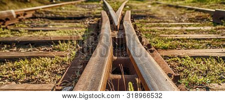 Railway Sleepers And Rails Close-up. Rusty Rails Of An Abandoned Railway In Forest