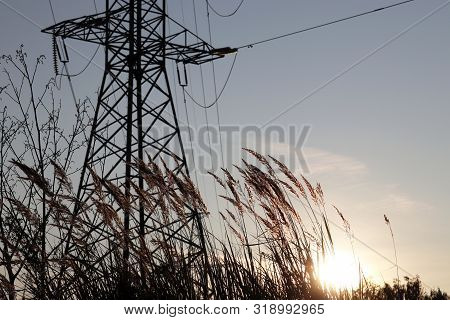 Silhouette Of High Voltage Tower With Electrical Wires On Sunset Background, View Through The Grass.