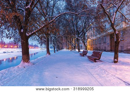 Uzhgorod Town At Dawn In Winter. Benches Under The Trees On Snow Covered Linden Alley, The Longest I