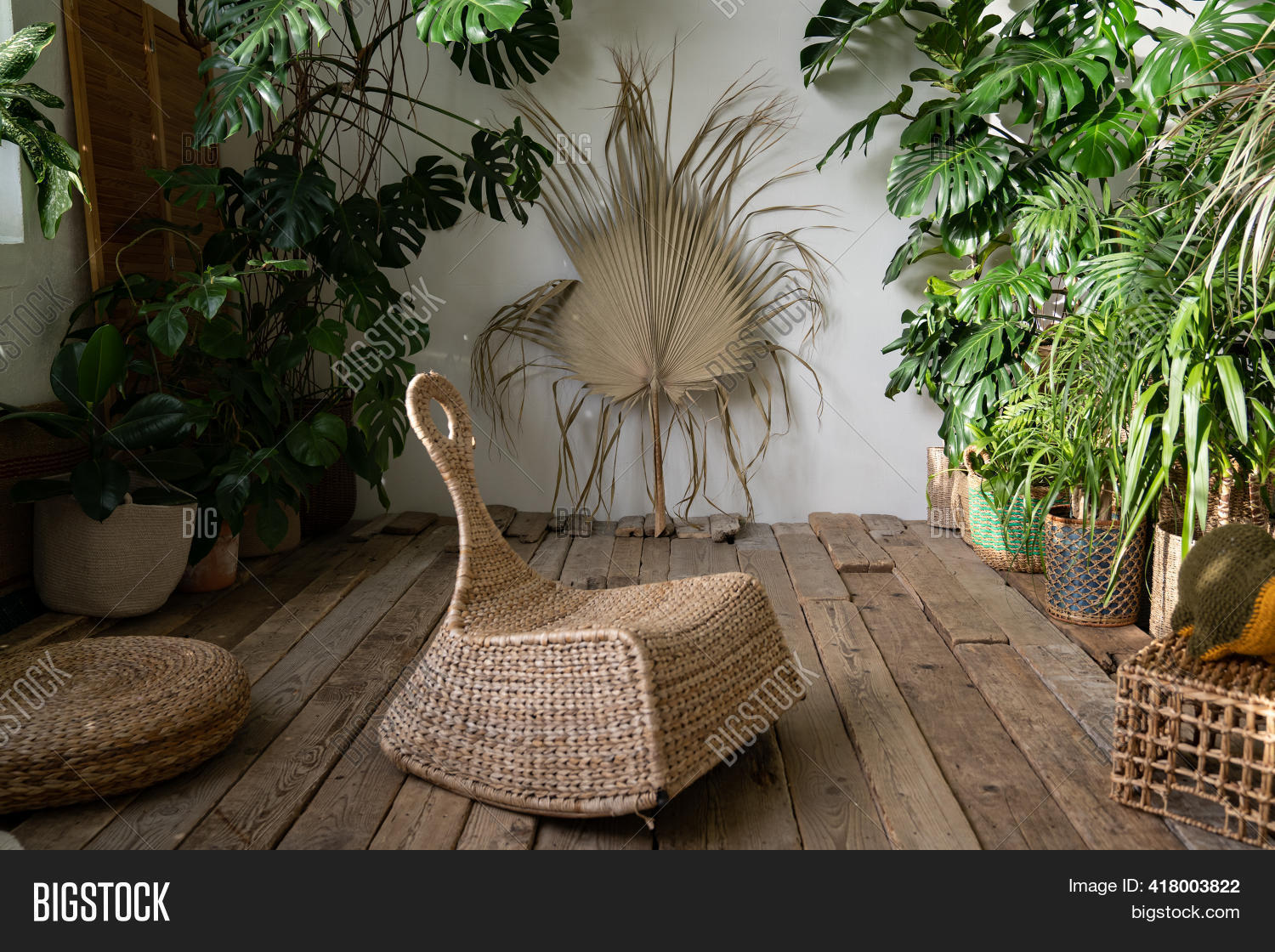 Cozy Indoor Garden Image \u0026 Photo (Free Trial) | Bigstock, image size:1500x1120