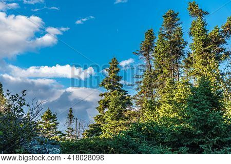 Landscape With Forest In Ontario, Pukaskwa National Park. Canada.