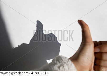 Silhouette Shadow Hand Doing Tumbs Up On White Wall
