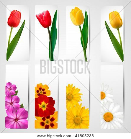Conjunto de Banners com flores coloridas diferentes. Ilustração vetorial.