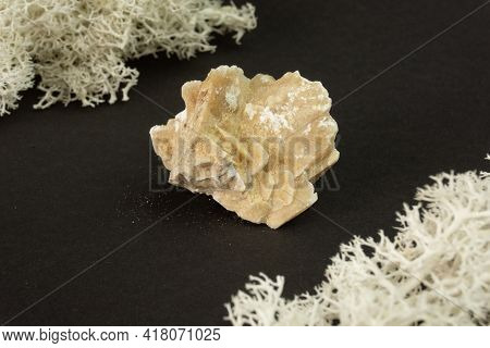 Desert Rose Crystal From Tunisia. Natural Mineral Stone On Black Background. Mineralogy, Geology, Ma