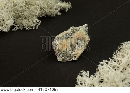 Dendrite Manganese Oxides From Morocco. Natural Mineral Stone On A Black Background Surrounded By Mo