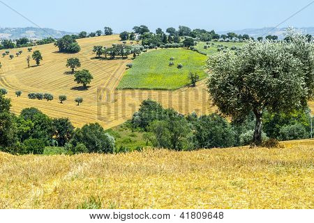 Marcher (Italien) - landskab