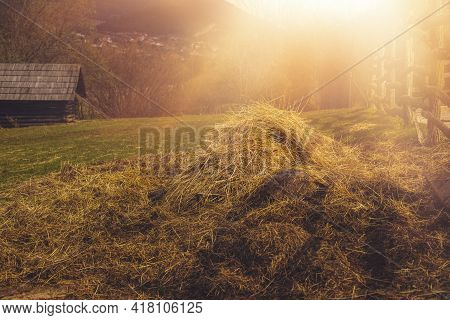 Hay Stack On Animal Farm.spring Season.high Quality Photo.