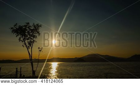 Tree On The Lake At Sunset, Sumedang,indonesia