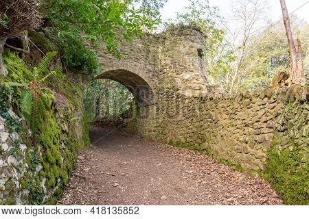 Fairytale Tunnels On The South West Coastpath