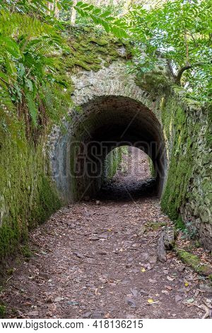 Fairytale Tunnels On The South West Coastpath