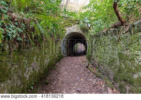 Fairytale Tunnels On The South West Coastpath