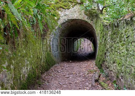 Fairytale Tunnels On The South West Coastpath