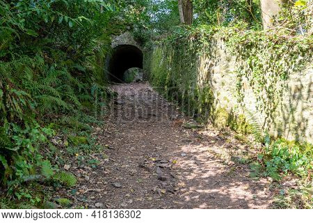 Fairytale Tunnels On The South West Coastpath