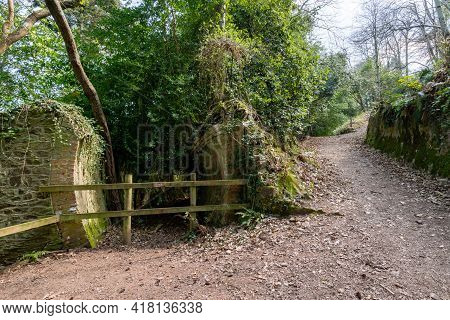 Fairytale Tunnels On The South West Coastpath