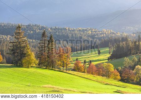 Foothills Of The Tatras Mountains, Poland. Natural Landscape With Yellow Autumn Trees And Hills