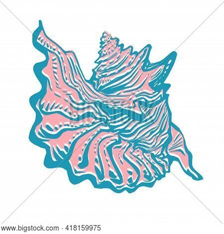 Sea Shell Hand Drawn Doodle Freehand Sketch In Too Colors Isolated On White. Amazing Inhabitant Of T