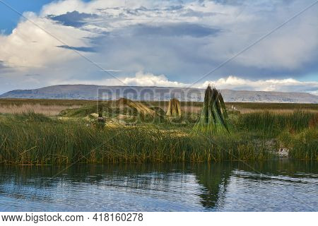 Bundles Of Reeds In A Stack On Uros Island, Lake Titicaca.