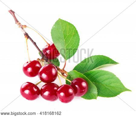 Ripe Fresh Red Cherry Isolated On White Background. With Clipping Path.