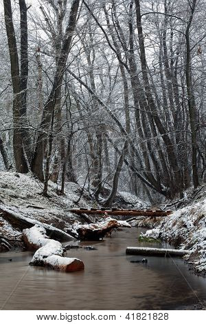 Stream In The Winter Forest