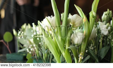 Beautiful White Flowers In The Background Restaurant