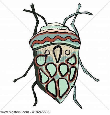 Insect Vector Illustration. African Bug Picasso. Hand Drawn Illustration.