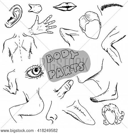 Hand Drawn Body Parts Elements. Doodle Design Style
