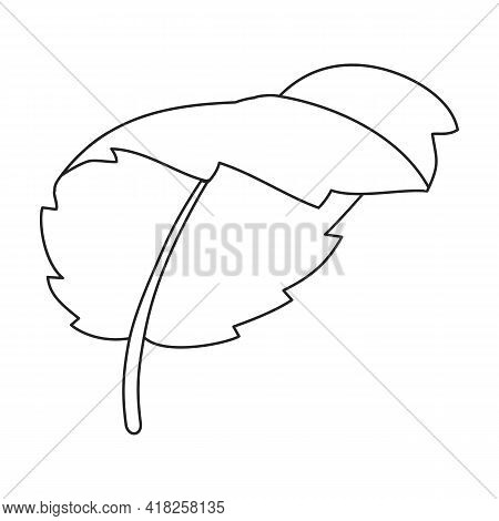 Mint Leaf Vector Outline Icon. Vector Illustration Liaf Peppermint On White Background. Isolated Out