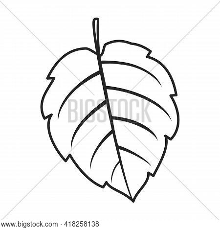 Mint Leaf Vector Outline Icon. Vector Illustration Liaf Peppermint On White Background. Isolated Out
