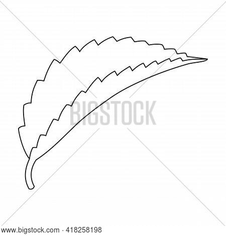 Mint Leaf Vector Outline Icon. Vector Illustration Liaf Peppermint On White Background. Isolated Out