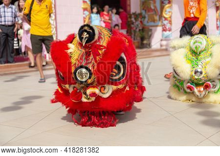 Lion Dance Show In Chinese New Year Festival On 1St Day Chinese New Year