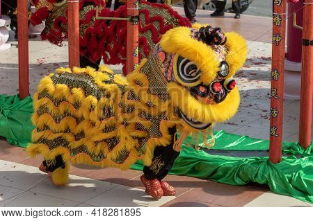 Lion Dance Show In Chinese New Year Festival On 1St Day Chinese New Year