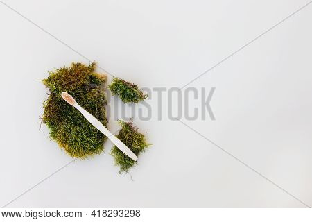 Bath Accessories Flay Lay, Isolated Wooden Tooth Brush On White Background With Green Moss As Natura