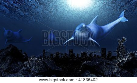 Delfini sott'acqua