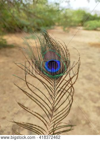 A Peacock Feathers Are Very Beautiful Background