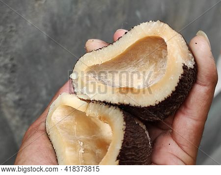 A Dry Coconut Had Multiple Health Benefits And Natural Body Effect