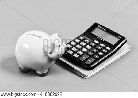 Economics And Finance. Calculate Profit. Piggy Bank Pink Pig And Calculator. Business Administration