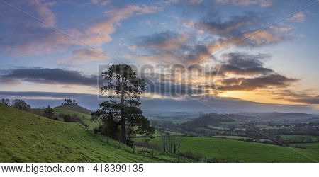 Beautiful Vibrant Sunrise Landscape Image Of Colmer's Hill In Dorset On A Spring Morning
