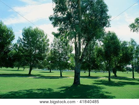 Landscape Image