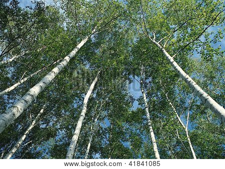 Landscape Image - Seasons Nature