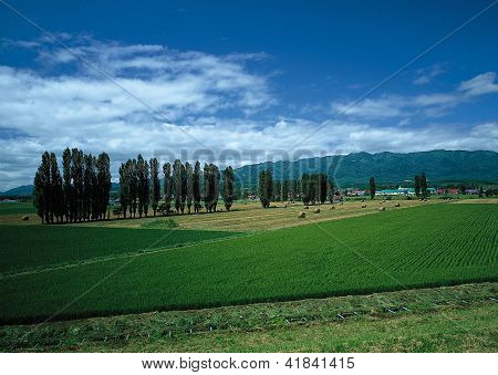 Landscape Image - Seasons Nature