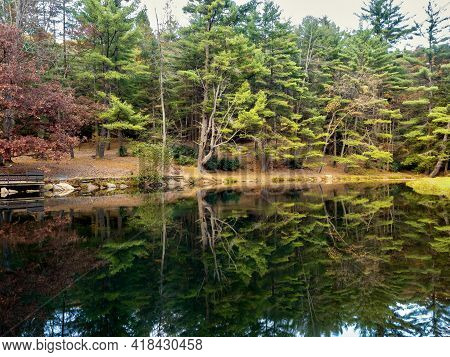 Clear Creek State Park Near Clarion, Pennsylvania In The Fall With The Fallen Leaves And Fall Foliag