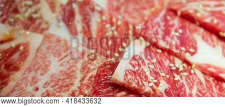 Honetsuki Karubi, Rib-on-bone It Is The Least Fat Red Meat. Food Background