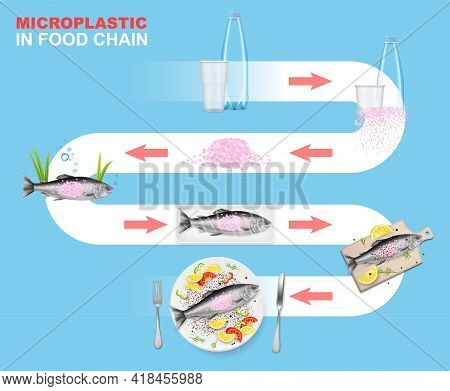 Microplastic In Food Chain Vector Infographic. Marine Environment. Plastic Waste Impact On Aquatic A