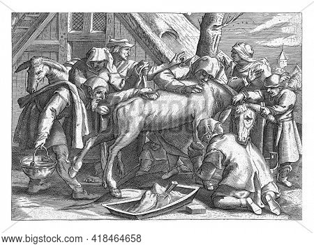 A group of men try to wash a donkey. The men are busy with buckets, soap and cloths. They are not thanked for it. The donkey kicks its legs and bites one of the men in the back.