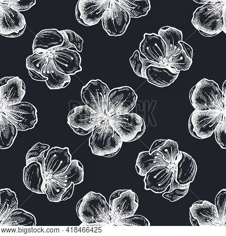 Seamless Pattern With Hand Drawn Chalk Sakura Flowers Stock Illustration